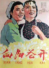 国产精品99久久久久久久vr